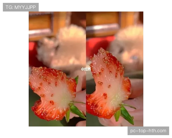 程语轩家的冰箱里塞满了蛋白粉，连饮料都按克称着喝